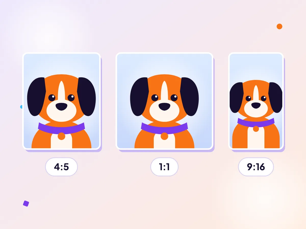 A pet dog in video frames shaped 4:5, 1:1 and 9:16 for Facebook